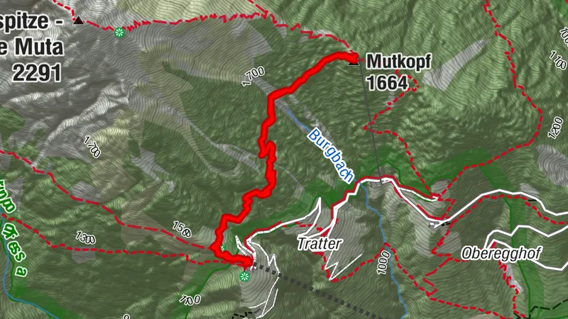 DORF TIROL Seilbahn Hochmut, Bergstation Hochmut, Mutkopf, Berggasthof und zurück20260920