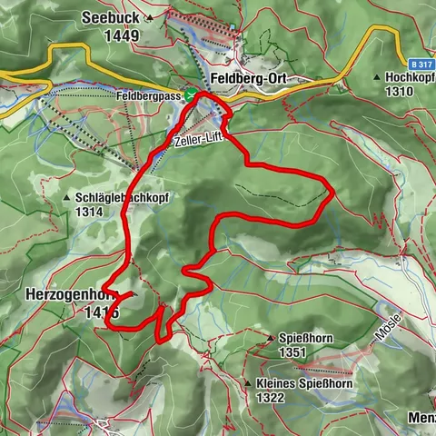 Höhenmeter auf dem Herzogenhorn