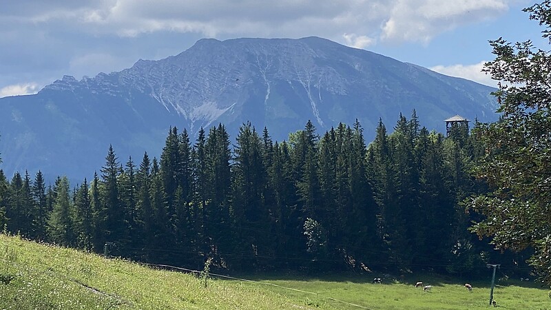 Karte