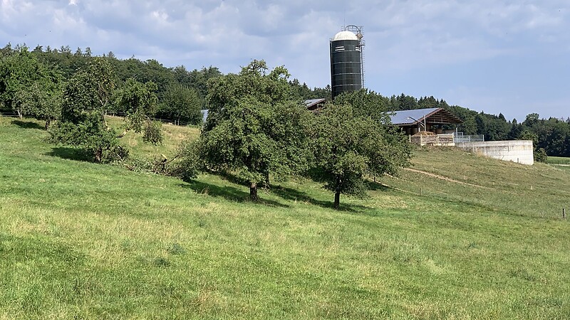 Karte