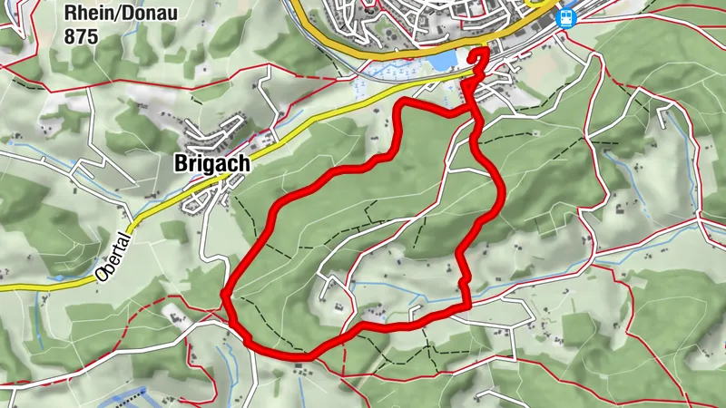 Rundwanderung über den Stockwald