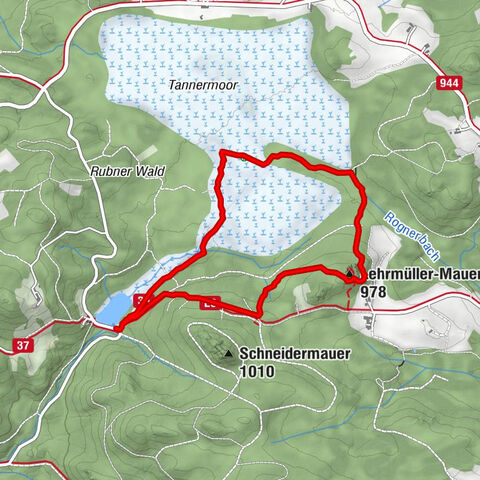 Wandern im Liebenauer Moor